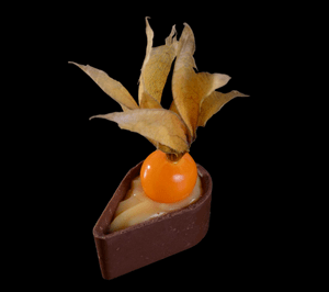 Gota com Creme e Physalis